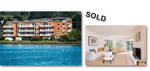 Mill Valley Condo