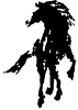 Marin Horse Council